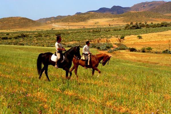 דירות רודאלקילאר Casa Appaloosa Cabo De Gata מראה חיצוני תמונה